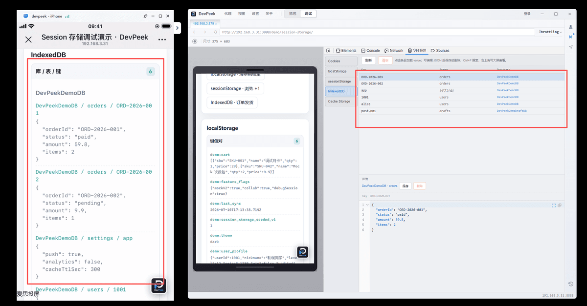 DevPeek Session：IndexedDB 库表与记录详情