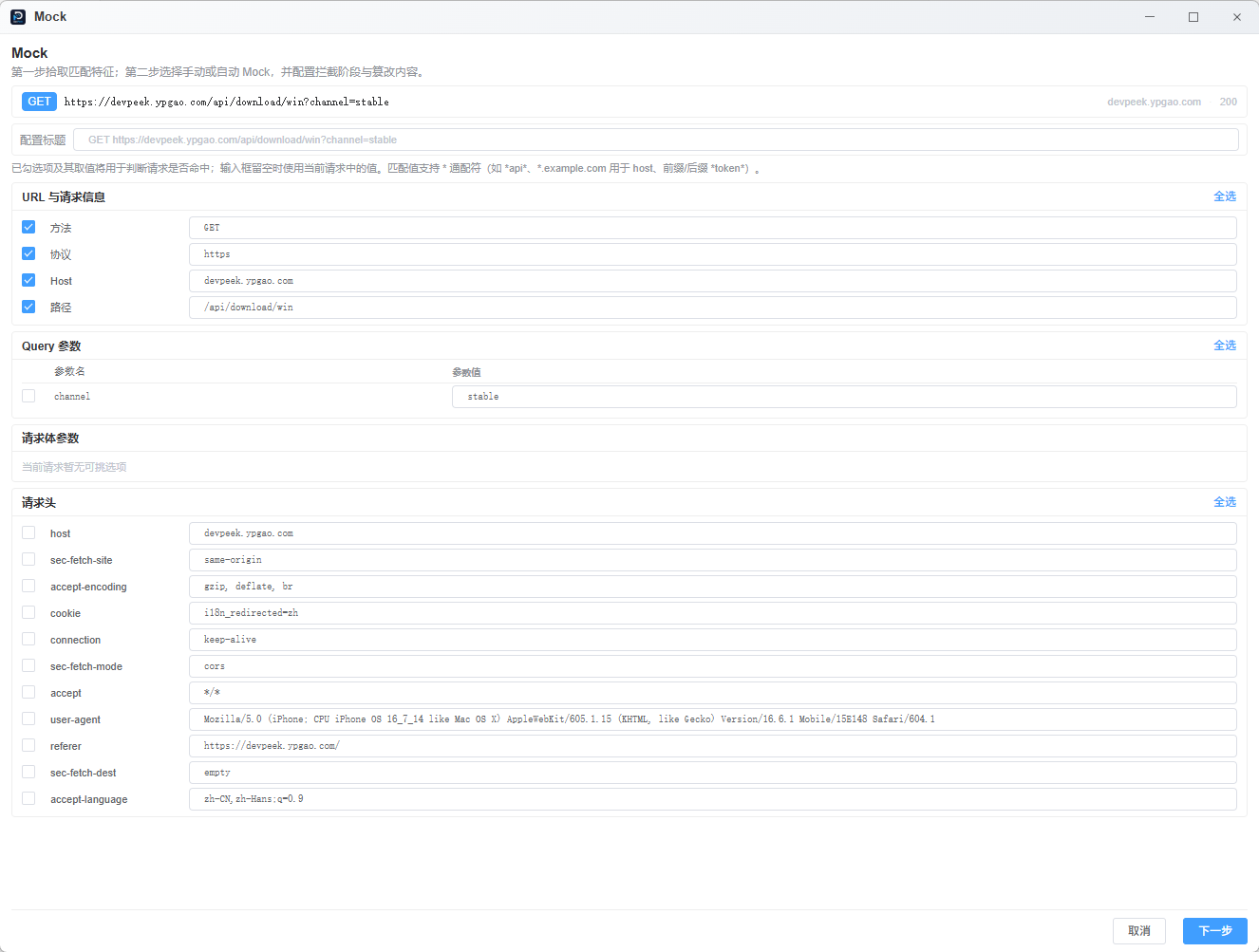 Screenshot: DevPeek Mock wizard step 1 — match features
